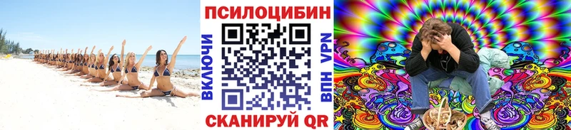 дарнет шоп  Руза  Псилоцибиновые грибы мухоморы 